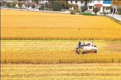 ��ʳ�ܲ���341.69��֣�����2.3%��ȫ�п����Ը����ࡣ�����ء��綫�ء�ͨ��������ȫʡ��Ķ�������ء����С�