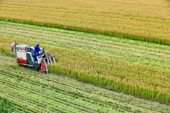 ȫ��������ȫ�йܡ���������500�����������23��Ķ������ũ��7��໧���γ���ʳ�֡��ܡ��ա������ӡ���һ�����ʳȫ��ҵ����չ��ģʽ��