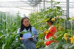 ȫ��ũҵ�����ִ���ʵ�̶ֳȳ���λ�������ձ���λ��