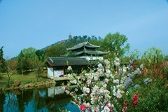 ȫ�о����������13.4��Ķ���������������걣��ȫʡ��λ��Ԥ����ľ�����ʴﵽ23.27%��˳��ʵ��ʡ��С����ľ��չĿ�ꡣ