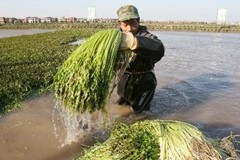 ũ��ͱ���׼��ߵ�ÿ��420Ԫ���ϣ���ʵ�ֶ�ũ�彨������ƶ����Ӧ��������Ӧ������������ȫ���ǡ�Ԥ��ȫ��424�����ñ����徭������ȫ���ﵽ30��Ԫ���ϣ�����һ���ﵽ50��Ԫ���ϡ�